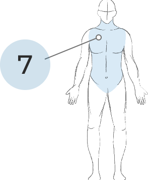 Sketch of body with neck, shoulders, and torso highlighted in light blue, with a callout line between the number 7 and the shaded area.